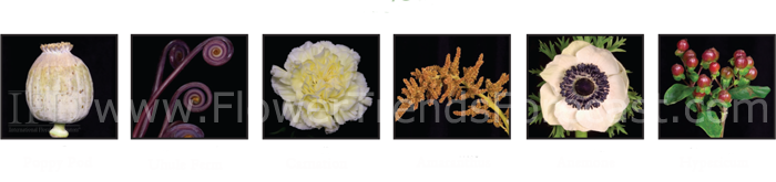 Flower Trends Forecast 2014 grand lodge Flowers.  Poppy pod, uhule fern, carnation, amaranthus, anemone, hypericum
