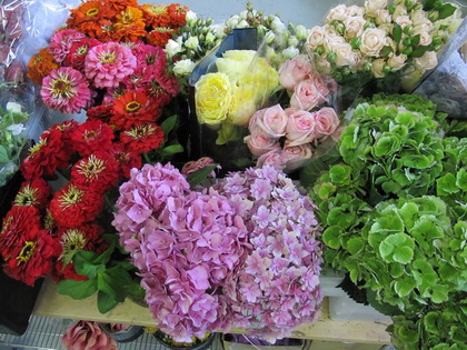 Flower Trends Forecast