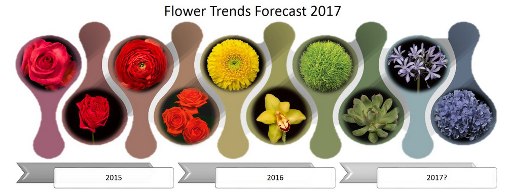 Flower Trends Evolve for 2017
