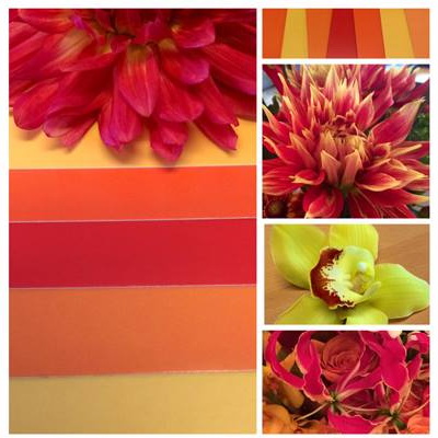 Flower Factor Blog