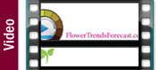 Flower Trends Forecast Videos
