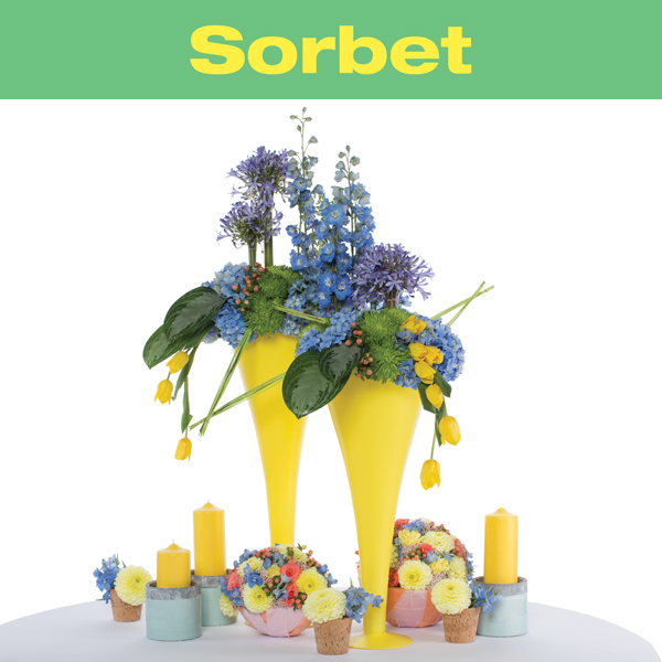 sorbet