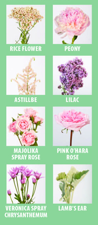 Ethereal Bliss Flowers Rice Flower, Peony, Astillbe, Lilac, Majolika Spray Rose, Pink O'Hara Rose, Veronica Spray Chrisanthemum, Lamb's Ear