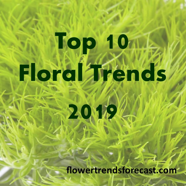 Flower Trends Forecast Flower Trends Forecast