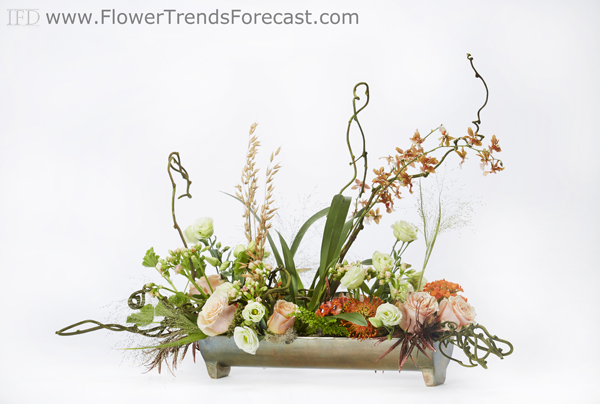 Flower Trends Forecast Articles,Craigslist Houses For Rent Near Me By Owner