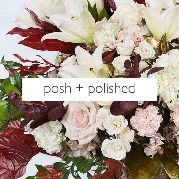 posh + polished