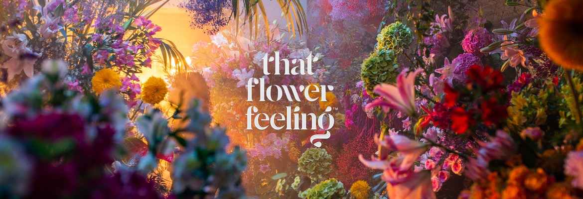 FTF ThatFlowerFeeling Banner 1170x400