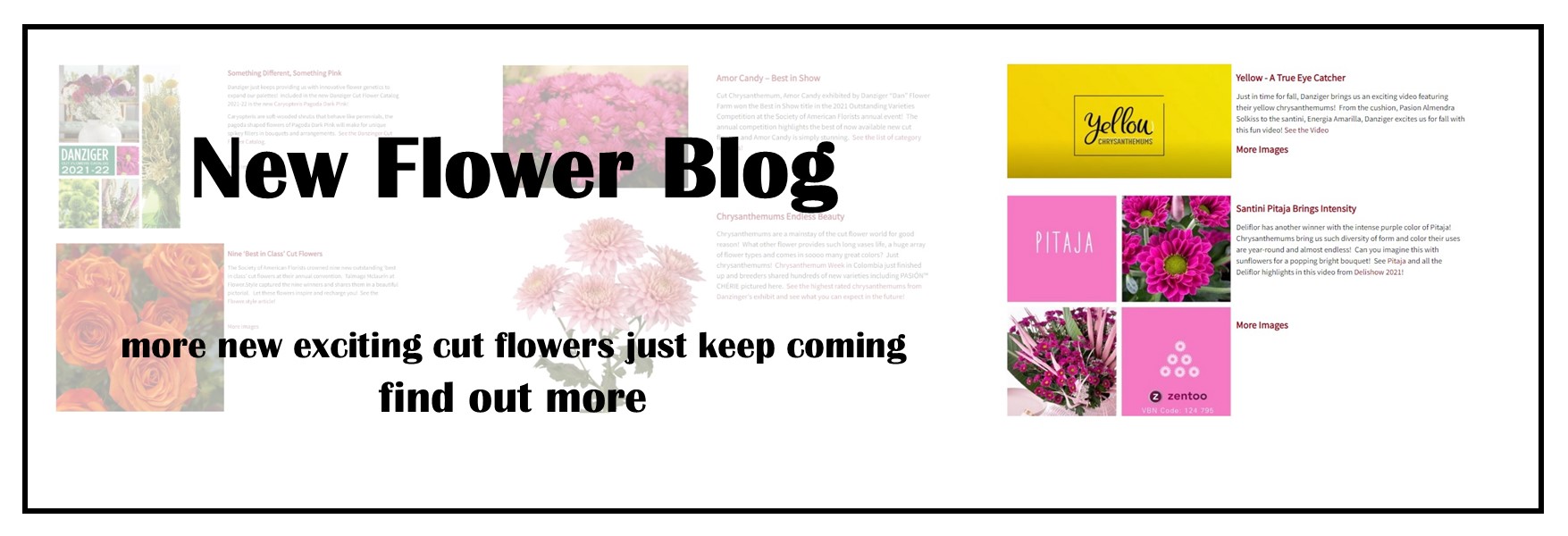 New Flower Blog