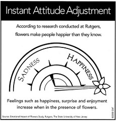 Impact of Flowers