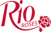 Rio Rose - Equiflor