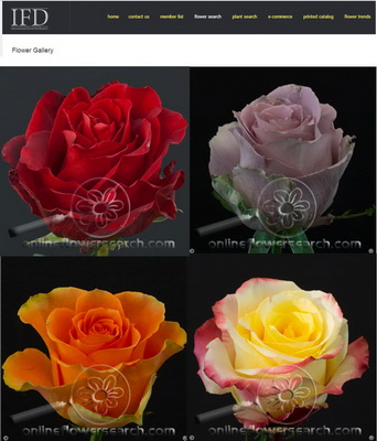 IFD Flower Gallery