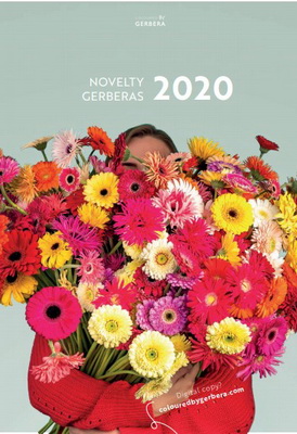 CBG2020NoveltyGerberas