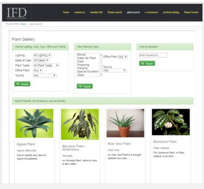 IFD Plants