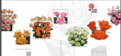 Interplant Catalog 2013