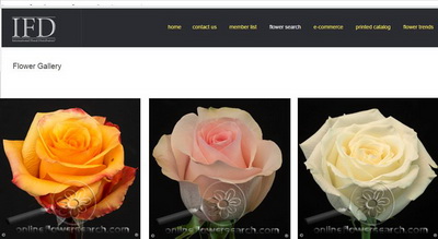 IFD Flower Gallery