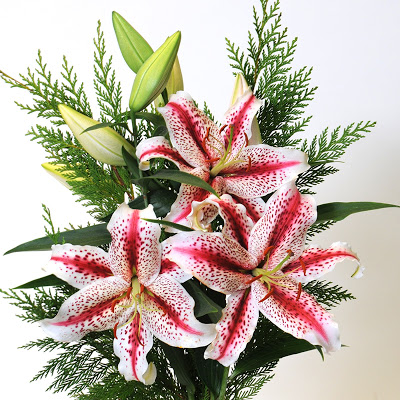 Candy Cane Lilies