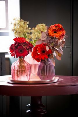 Inspiring New Gerbera