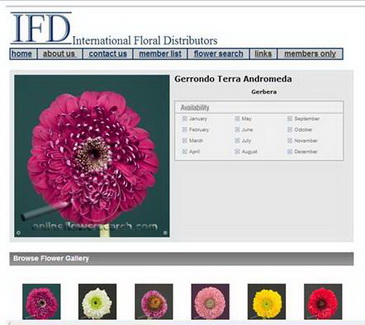IFD Flower Gallery