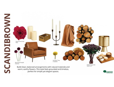 DanzigerWintertrends presentation 2026 SCANDIBROWN