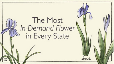 The Most in-Demand Flowers