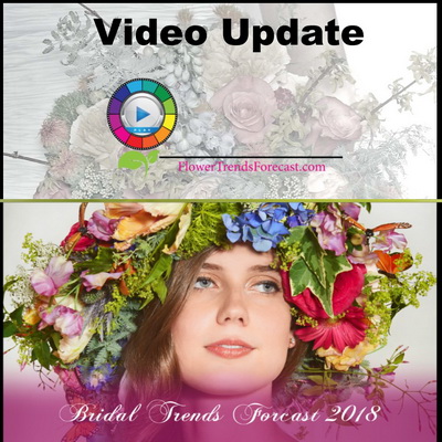 Bridal Video