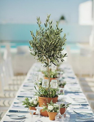 Plants as Wedding Décor 