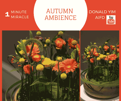 Donald Yim: Autumn Ambience