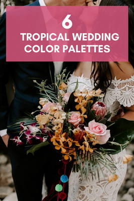 Color Palettes That Dream Paradise