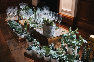 Succulents Setting the Table