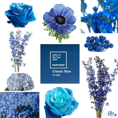 2020 Color of the Year: Classic Blue — Belli Fiori