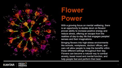 IFPA Flower Power Kantar Report