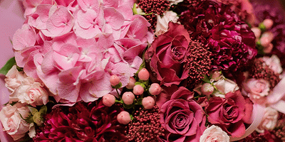 Five Flower Trends To Know