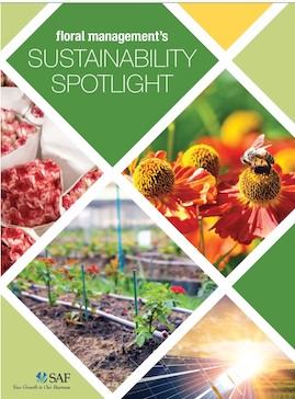 SAF Sustainability Spotlight