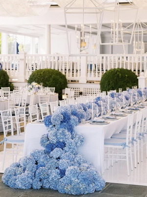 Sky Blue and Bright White Hydrangea Trend Color 2024