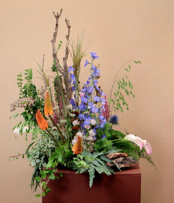 How do Customers Score Your Sustainability Effort?